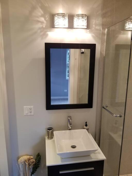 Nice And Cozy. Sleeps 5. Lejlighed Chicago Eksteriør billede